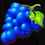 Symbol Grapes i Fruit Party 2